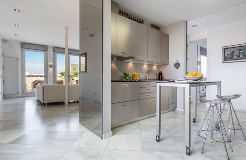 Santa Cruz Apartment | Spectacular attic with the best terrace in Seville