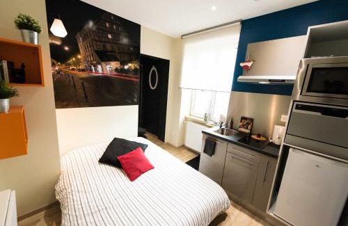 Colmar Centre Ville Apartment | Splendide Studio Centre Colmar