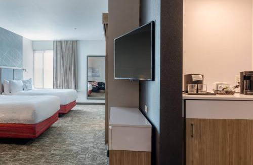 Columbia Hotel | SpringHill Suites by Marriott Columbia