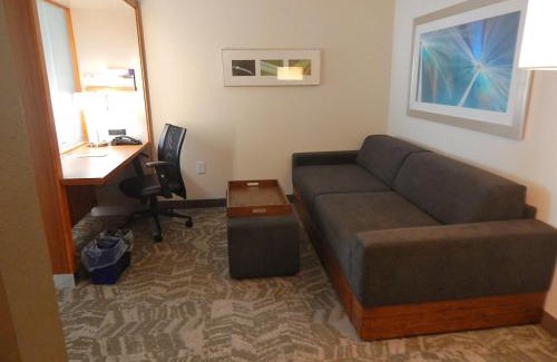 South Side Hotel | SpringHill Suites by Marriott Corpus Christi