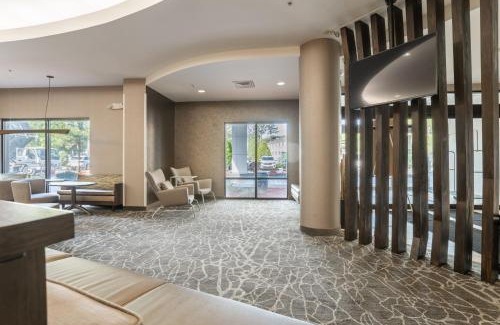 Gainesville Hotel | SpringHill Suites Gainesville