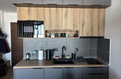 Kopaonik Apartment | Squirrel Viewpoint Apartment Residence Hill B124