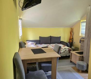 Kremna Apartment | Srebrna dolina