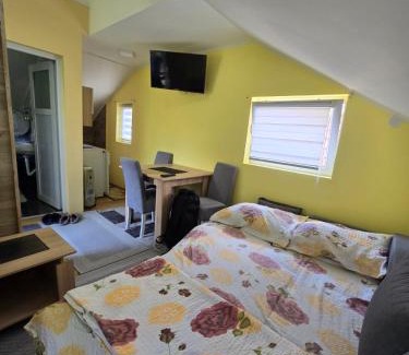 Kremna Apartment | Srebrna dolina