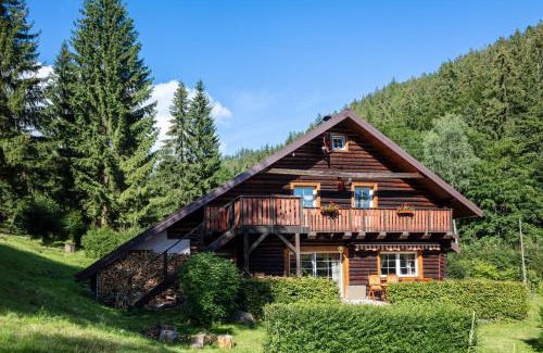 Dolni Dvur Apartment | Srub pod Tetřevím vrchem