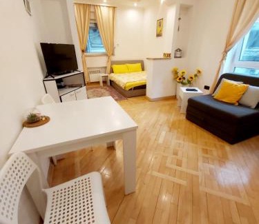 Vracar Apartment | St. Marko Church App