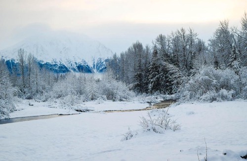 Alyeska Hotel | St. Moritz- Apartment