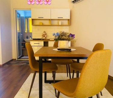 Novi Pazar Apartment | Staša Apartmani