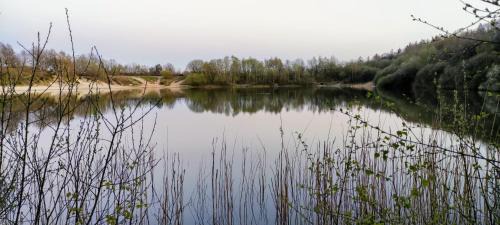 Municipality of Aa en Hunze Other | Stacaravan Il Piccolo Nido in Bosrijke Omgeving, Rust & Natuur in Drenthe
