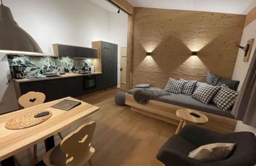 Hinterstein Apartment | Stadl Lodge Hinterstein - Skipass im Winter und Bergbahnen im Sommer inklusive
