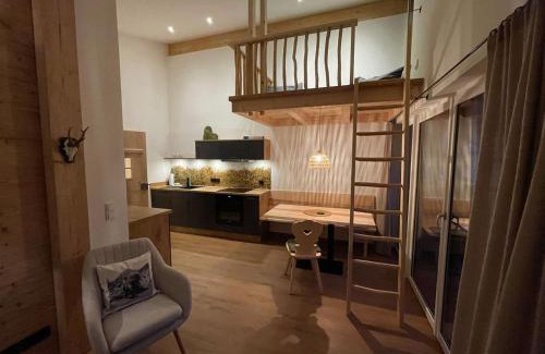 Hinterstein Apartment | Stadl Lodge Hinterstein - Skipass im Winter und Bergbahnen im Sommer inklusive