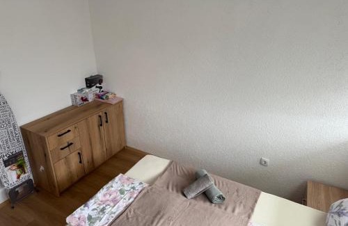 Central Serbia Apartment | Stan Grozd Aleksandrovac Centar