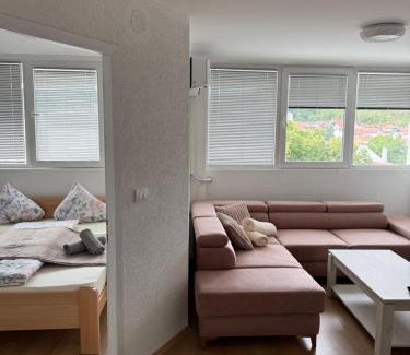 Central Serbia Apartment | Stan Grozd Aleksandrovac Centar