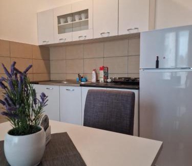 Inija Apartment | Stan Na Dan 022
