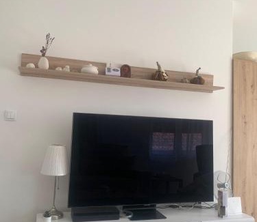 Mladenovac Apartment | Stan na dan Djole