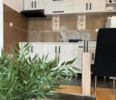 Vrbas Apartment | Stan na dan La familia Vrbas