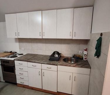Belgrade House | Stan na dan Prenociste