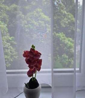 Cukarica Apartment | Stan na dan SISTERS