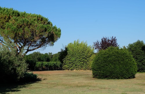 Begadan House | Standing, exceptional place private pool13x6, enclosed park 3000 M2 Free Wifi
