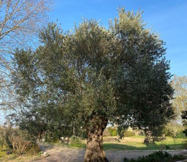Budrio House | Stanza in Villa immersa nel verde con WiFi Vicino Bologna