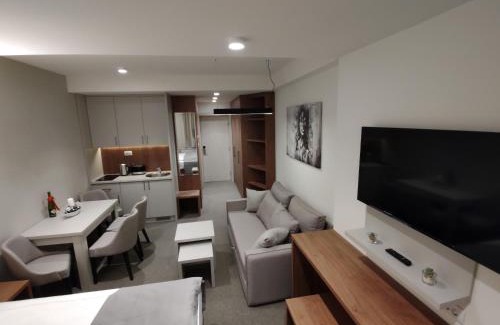Kopaonik Apartment | Star Hill - Koznik Konaci