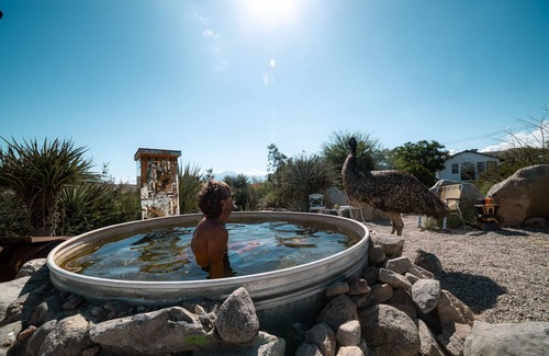 Morongo Valley Apartment | Star Tower on Animal & Art Sanctuary Near Joshua Tree