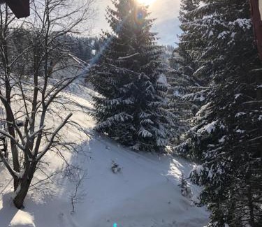 Kopaonik Apartment | Stara Bačija