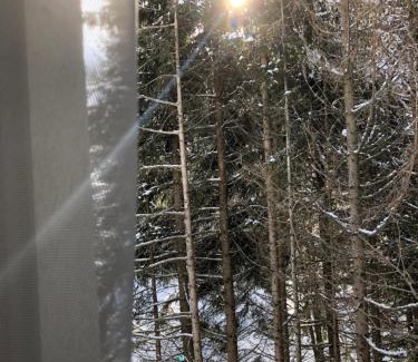 Kopaonik Apartment | Stara Bačija