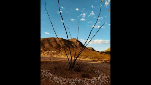 Bisbee House | StarGazer Hidaway