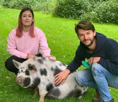 Irstead House | Starry Meadow & Rescued Animal Experiences