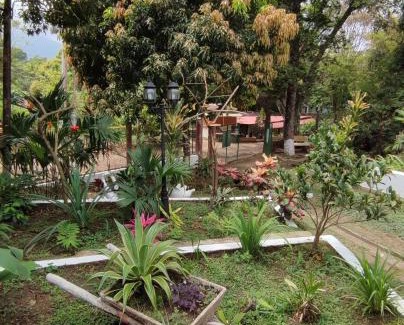 Minca House | Stay and Spanish
