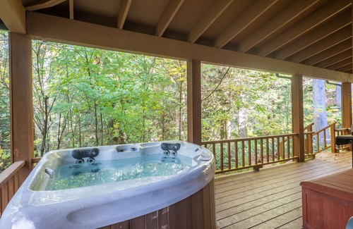 Rhododendron Cabin | Stay before 9/28 get the 3RD night FREE! Hot tub, river access A/C