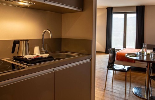 9th Arrondissement Hotel | Stay Close to Place des Terreaux! Pet-friendly Hotel, Kitchenette, City View!