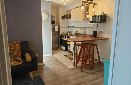 Downtown Santiago Apartment | Stay in front of the Ñuble Metro, lines 5, 3 and 6