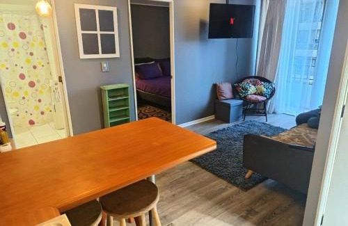 Downtown Santiago Apartment | Stay in front of the Ñuble Metro, lines 5, 3 and 6