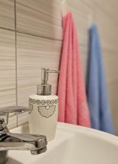 Stara Planina Apartment | Stefanović - Studio 1