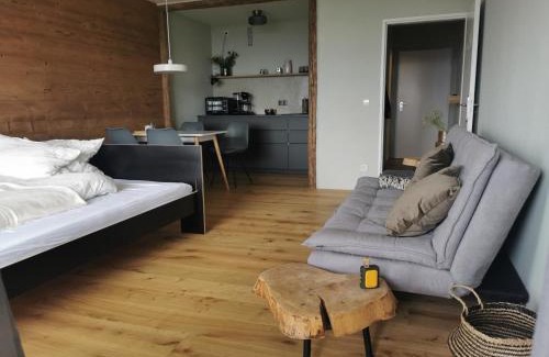 Geyersberg Apartment | Sternstube – Appartement mit traumhaftem Weitblick
