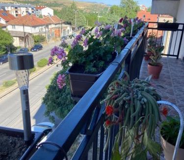 Kumanovo Apartment | Stojanovski Apartments