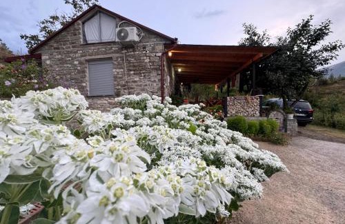 Albania House | Stone House