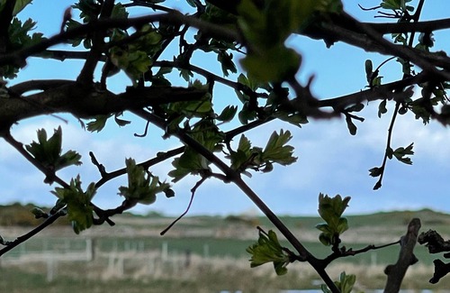 East Linton House | Stonelaws Holiday Cottages: The Law Cottage