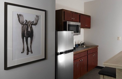 Broken Arrow Hotel | Stoney Creek, Kitchen and Balcony, Extended Stay King Suite | 2 Units