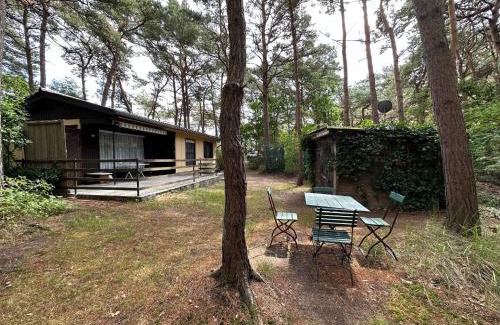 Altenkirchen House | Strandperle