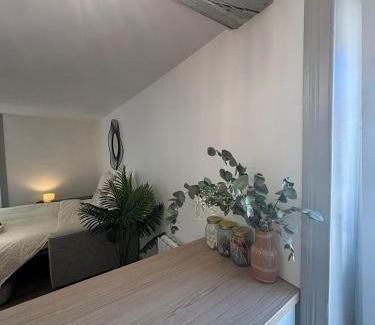 La Celle-sous-Gouzon Apartment | Studio Élégant Roanne
