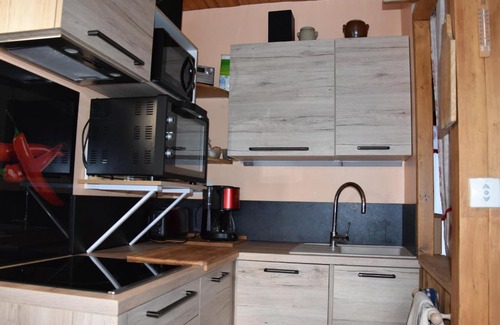 Pralognan-la-Vanoise Apartment | Studio équipé, 400m des commerces, terrasse sud, accepte animaux. - FR-1-464-175