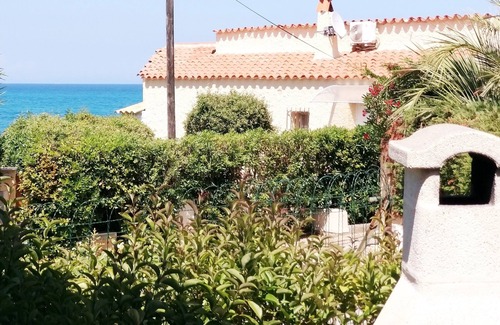 Bravone Apartment | Studio 1 - 50 m sand beach end quiet place with trees - sea view