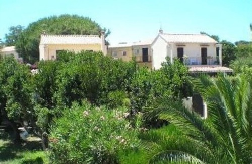 Bravone Apartment | Studio 1 - 50 m sand beach end quiet place with trees - sea view