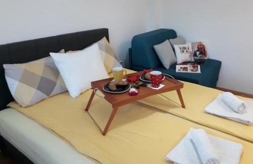 Stari Grad Apartment | Studio 17