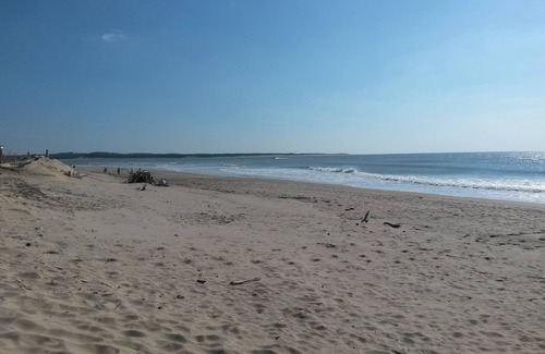 Saint-Pierre-d'Oleron Apartment | Studio 2 people with garden near sea and forest. its shops, its market .