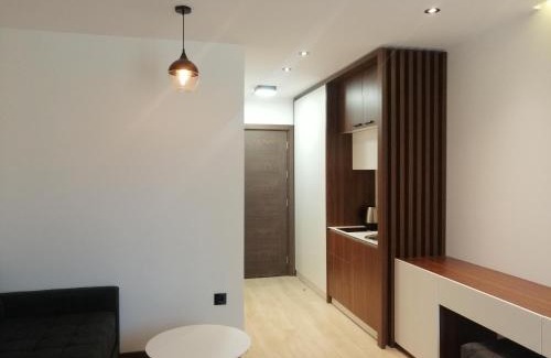 Kopaonik Apartment | Studio 42 Zoned Kopaonik