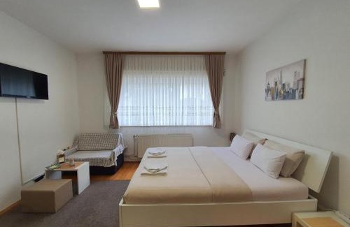 Mali Radic Apartment | Studio Apartman 11